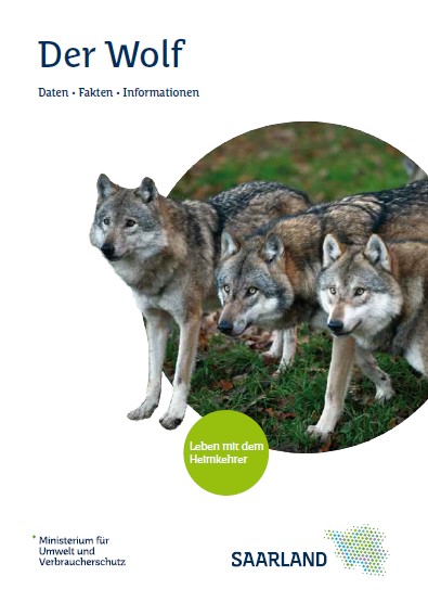 Mehr über den Artikel erfahren Wolfsflyer