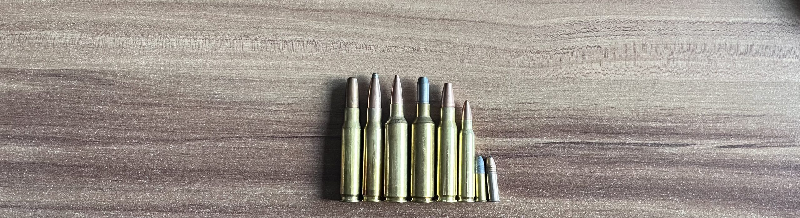 Mehr über den Artikel erfahren Bleifreie oder bleihaltige Jagdmunition